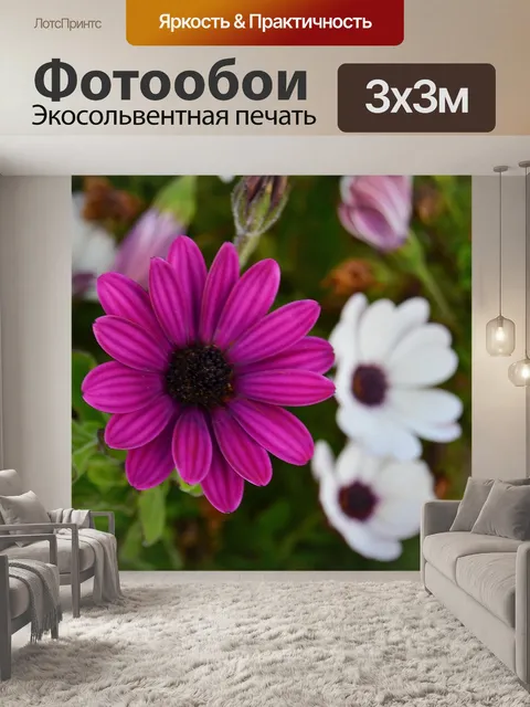 Фотообои Цветы