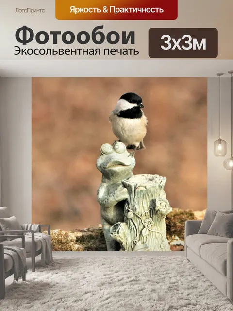 Фотообои Чернокожий Чикади на лягушке