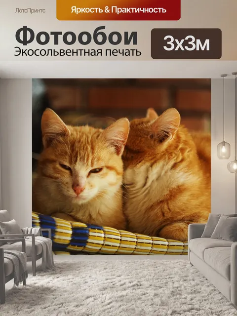 Фотообои Братья
