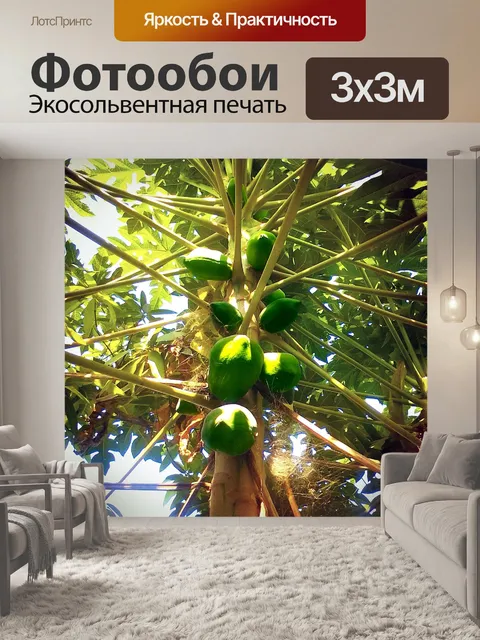 Фотообои Папайя