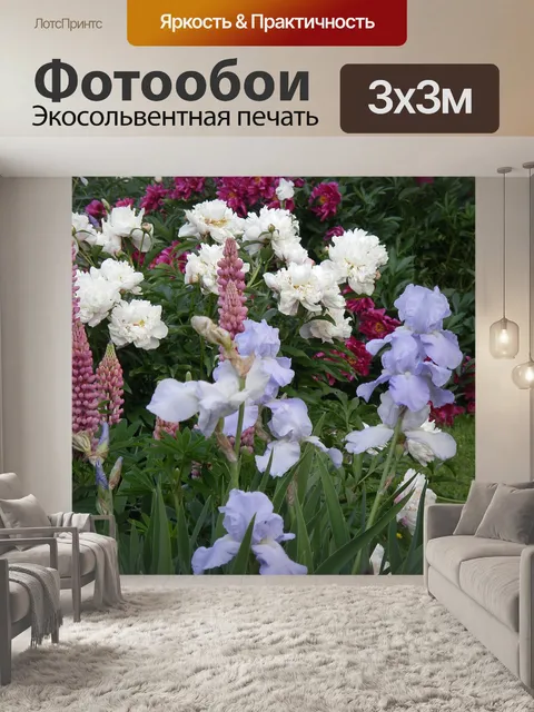 Фотообои Ирис