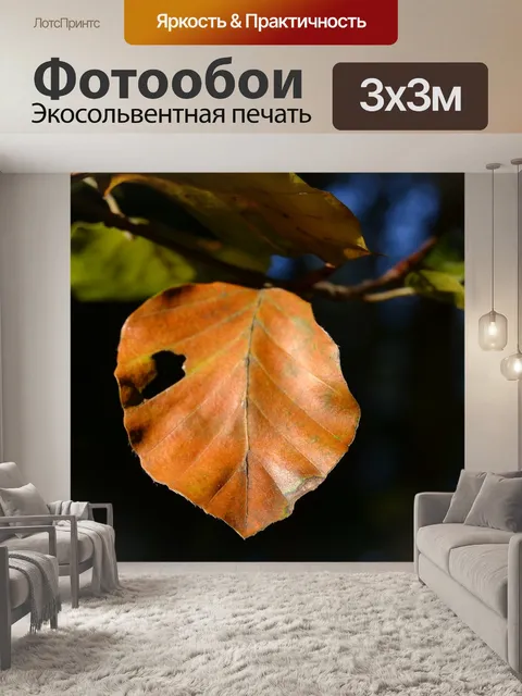 Фотообои Падение