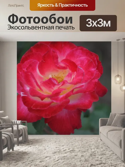 Фотообои Природа