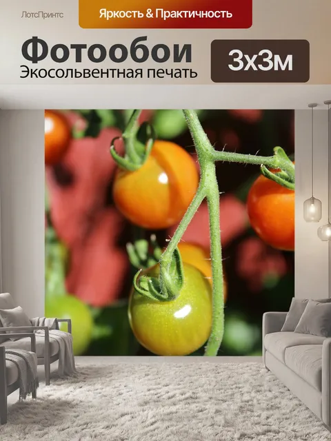 Фотообои Еда