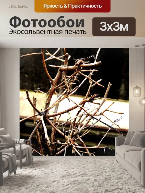 Фотообои Сухие ветки