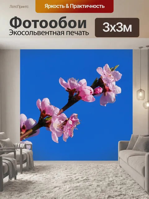 Фотообои Персик