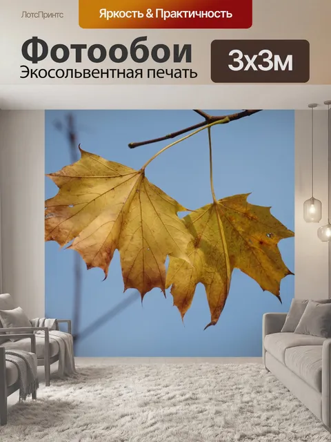 Фотообои Клен
