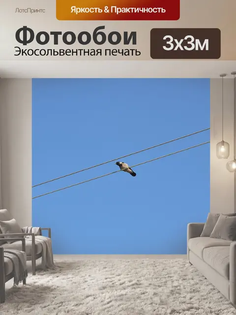 Фотообои Птица