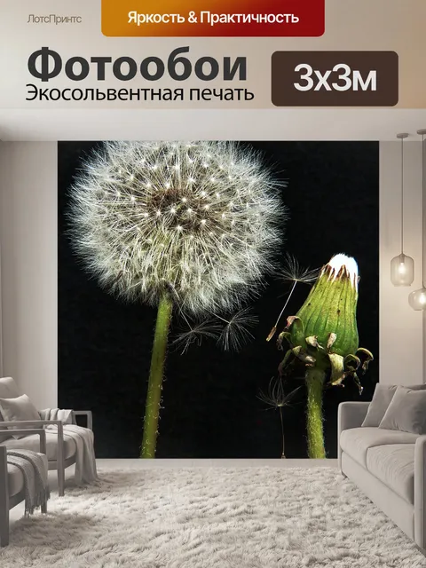 Фотообои Одуванчик