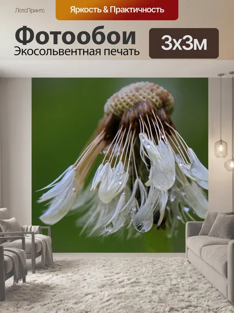 Фотообои Одуванчик