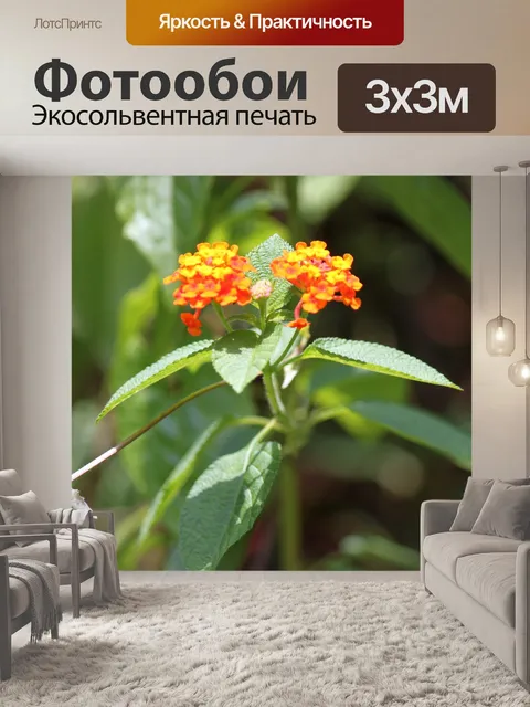 Фотообои поля вишни цветы и оставил