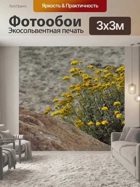 Фотообои Желтые полевые цветы