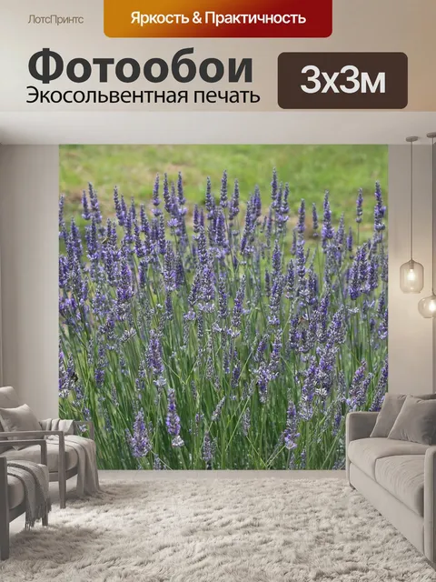 Фотообои Лаванда
