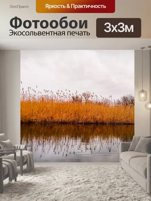 Фотообои Камыш