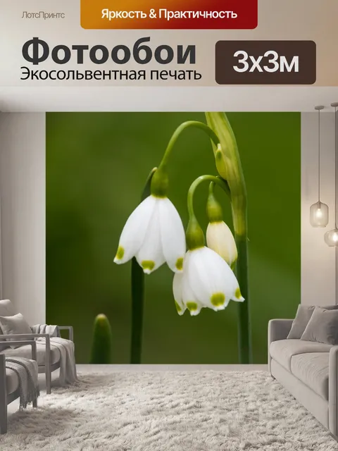 Фотообои Белый