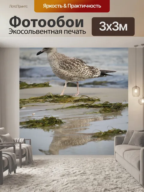 Фотообои Птица