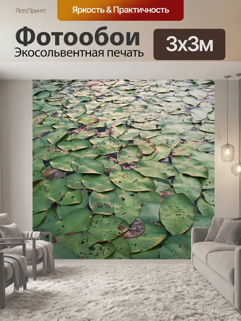 Фотообои Лили колодки