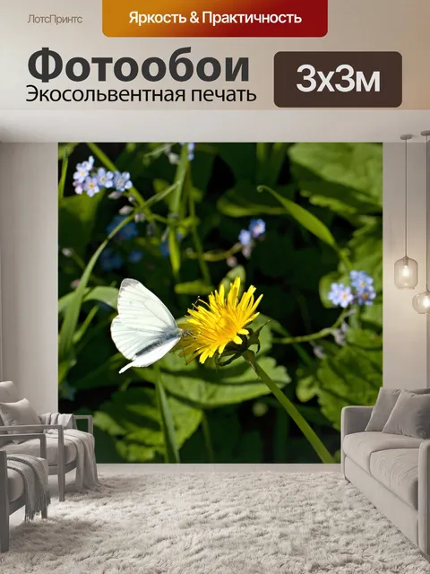 Фотообои Бабочка