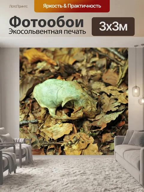 Фотообои Листья