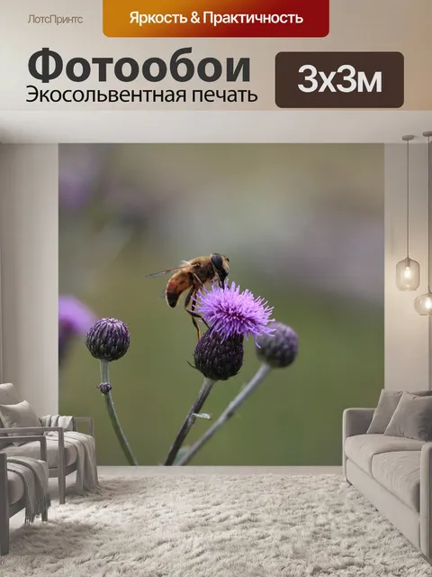 Фотообои Расцветает