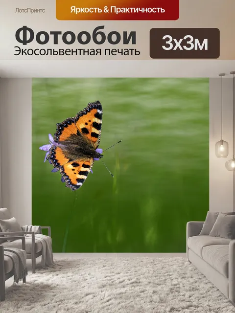 Фотообои Крапивница
