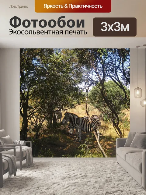 Фотообои зебра Берчелла стоит в тени