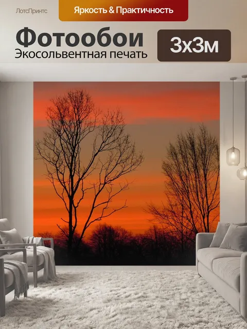Фотообои Деревья