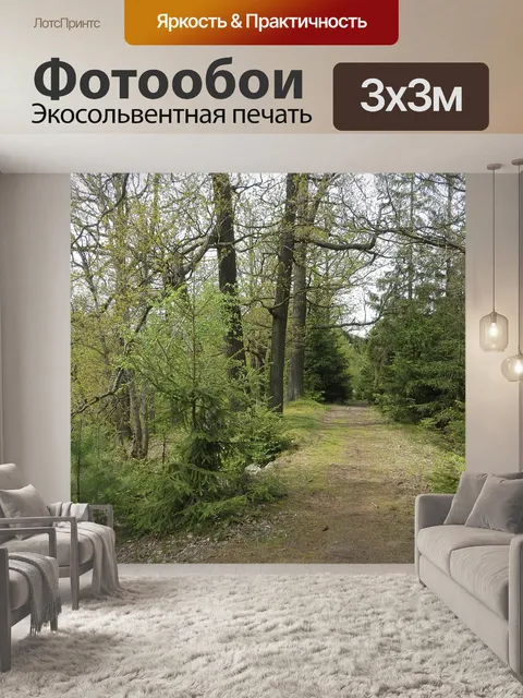 Фотообои Лес