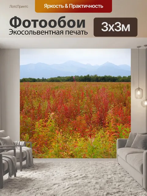 Фотообои Осень
