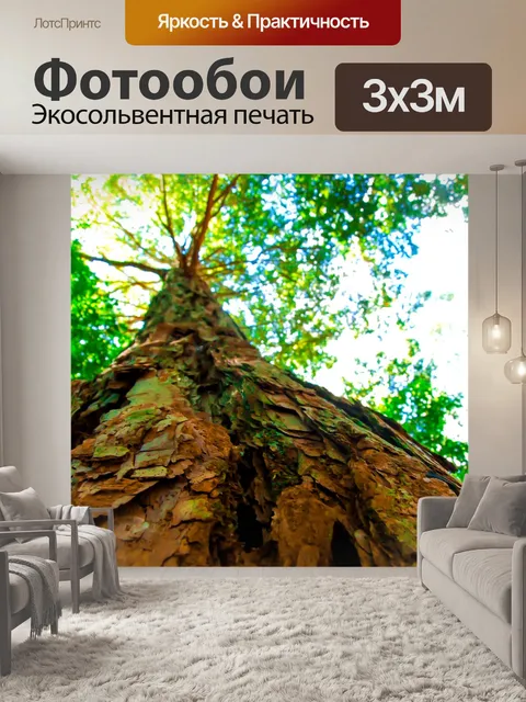 Фотообои Лес