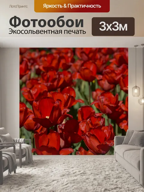 Фотообои Строки тюльпанов