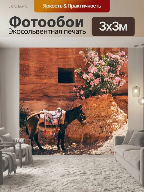 Фотообои Осел