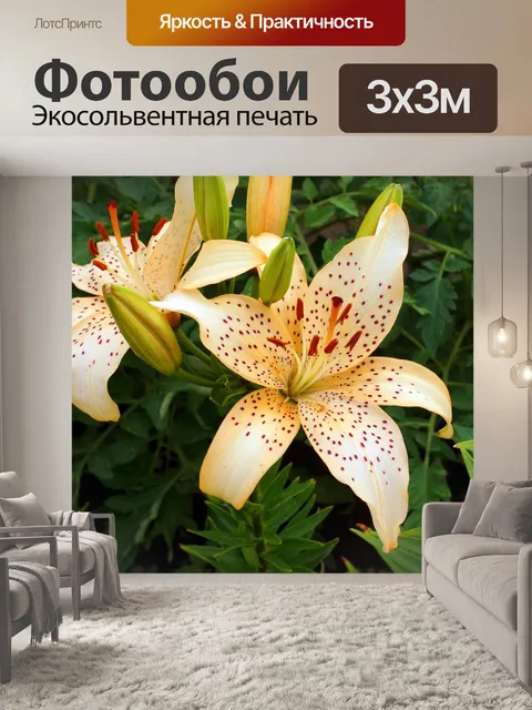 Фотообои Цветок