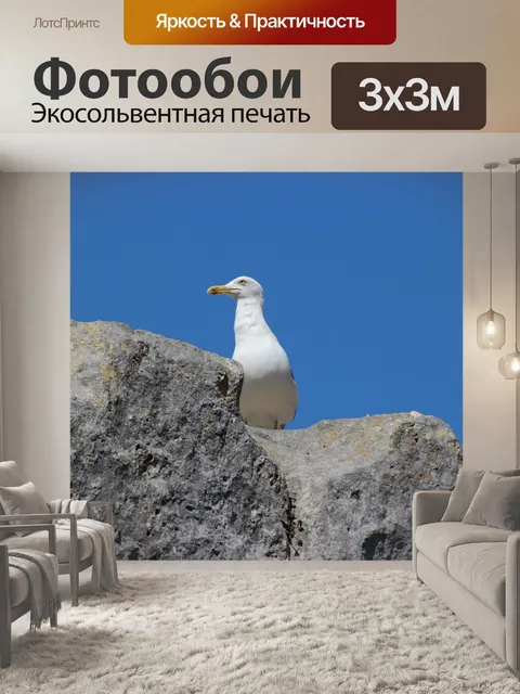 Фотообои Горные породы