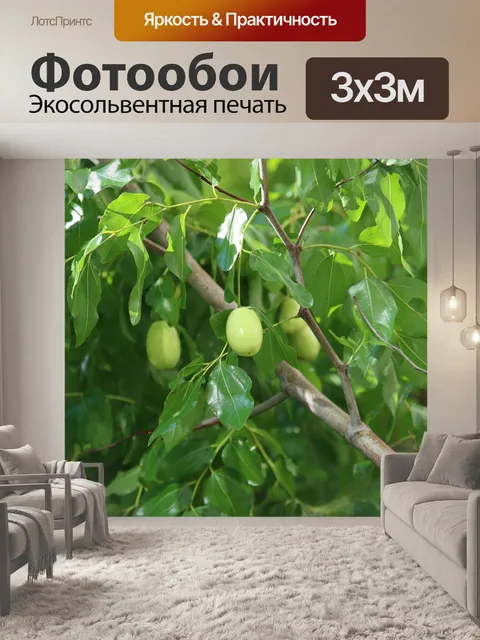 Фотообои Мармелад