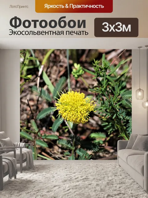 Фотообои Желтый блеск