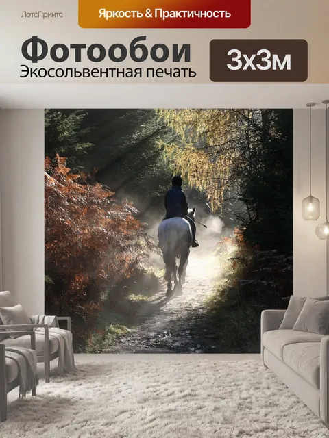 Фотообои Лошадь