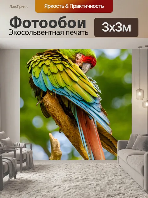 Фотообои Попугай-чистильщик