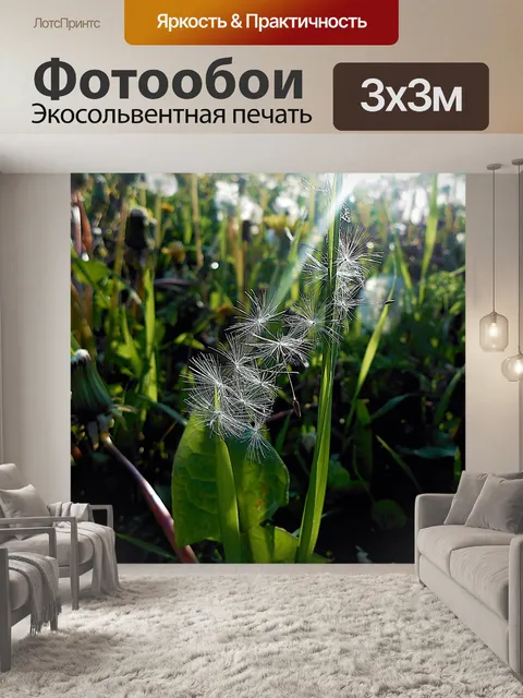 Фотообои Тупой