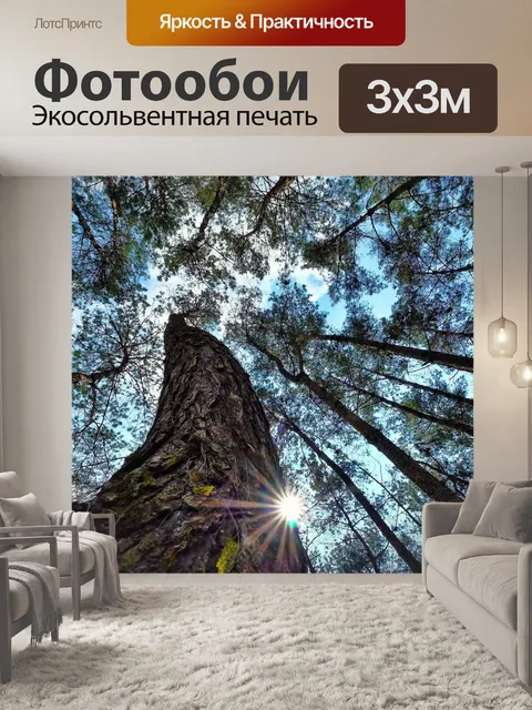 Фотообои Лес