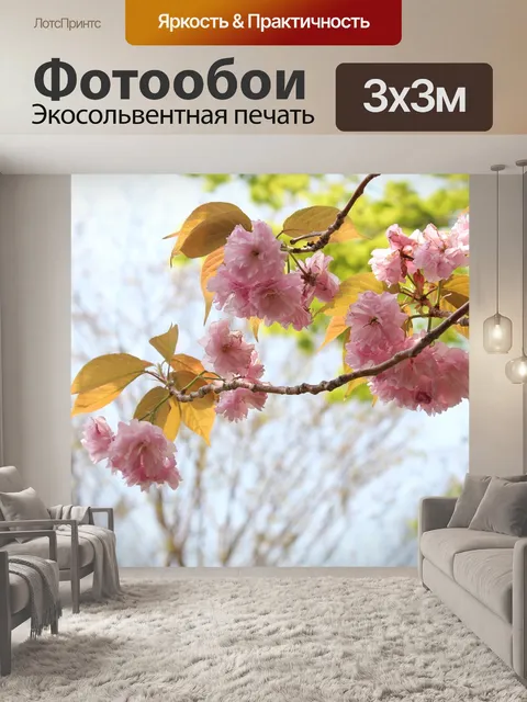 Фотообои Япония