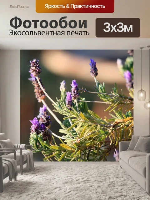 Фотообои веточки лаванды