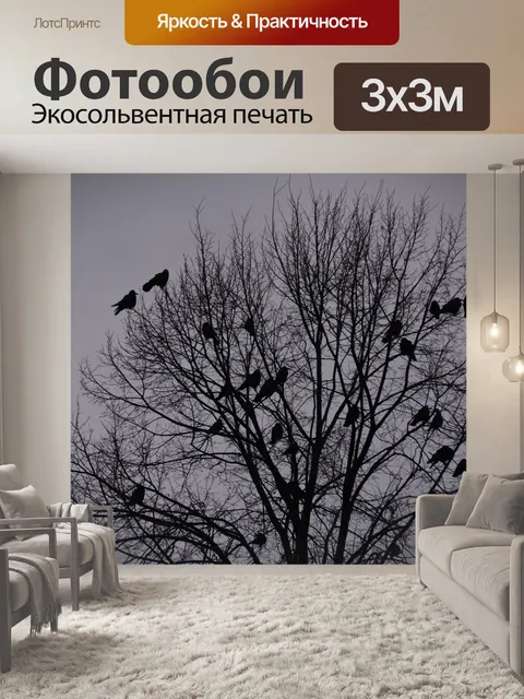 Фотообои Вороны