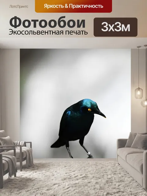 Фотообои Большой голубоухий скворец