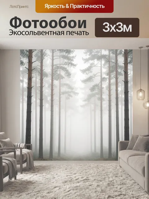 Фотообои Туманный сосновый лес