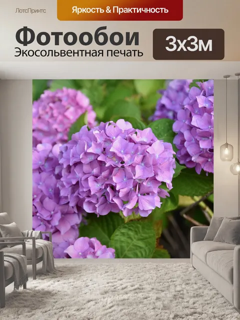 Фотообои Цветок