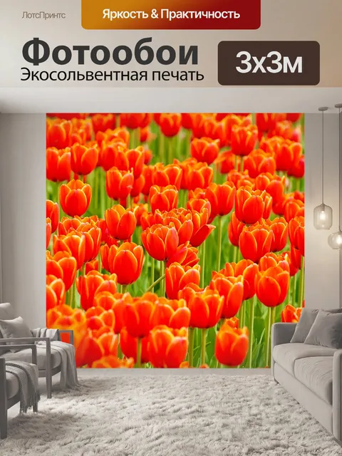 Фотообои Цветы
