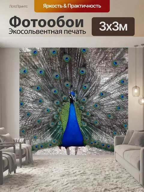 Фотообои Павлин