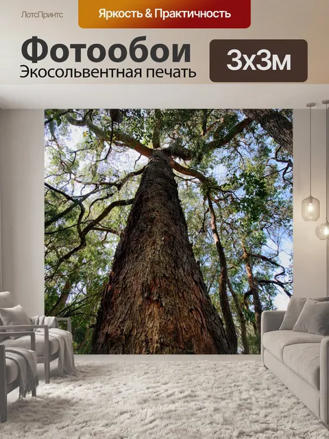 Фотообои Дерево