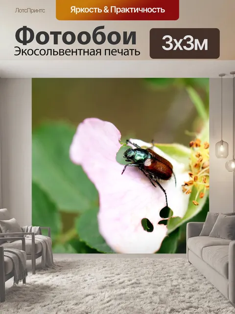 Фотообои Червь